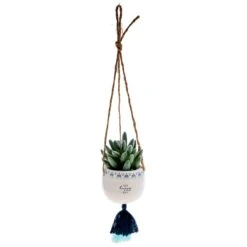 Karma Hanging Succulent Pots