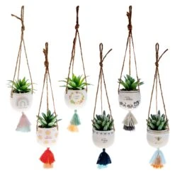 Karma Hanging Succulent Pot Assortment