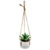 Karma Shaped Hanging Succulent Pot