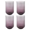 Karma Lexi Mixing Glass Set Of 4